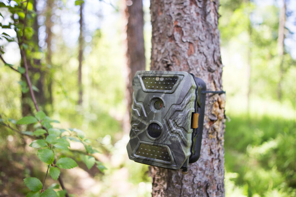 Camera and motion detector for hunters