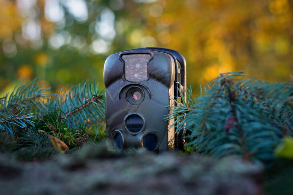 Hunting camera