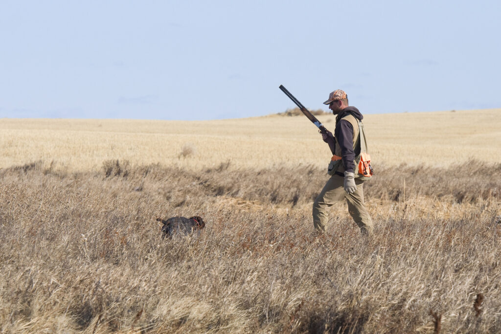 Hunting dog and a hunter