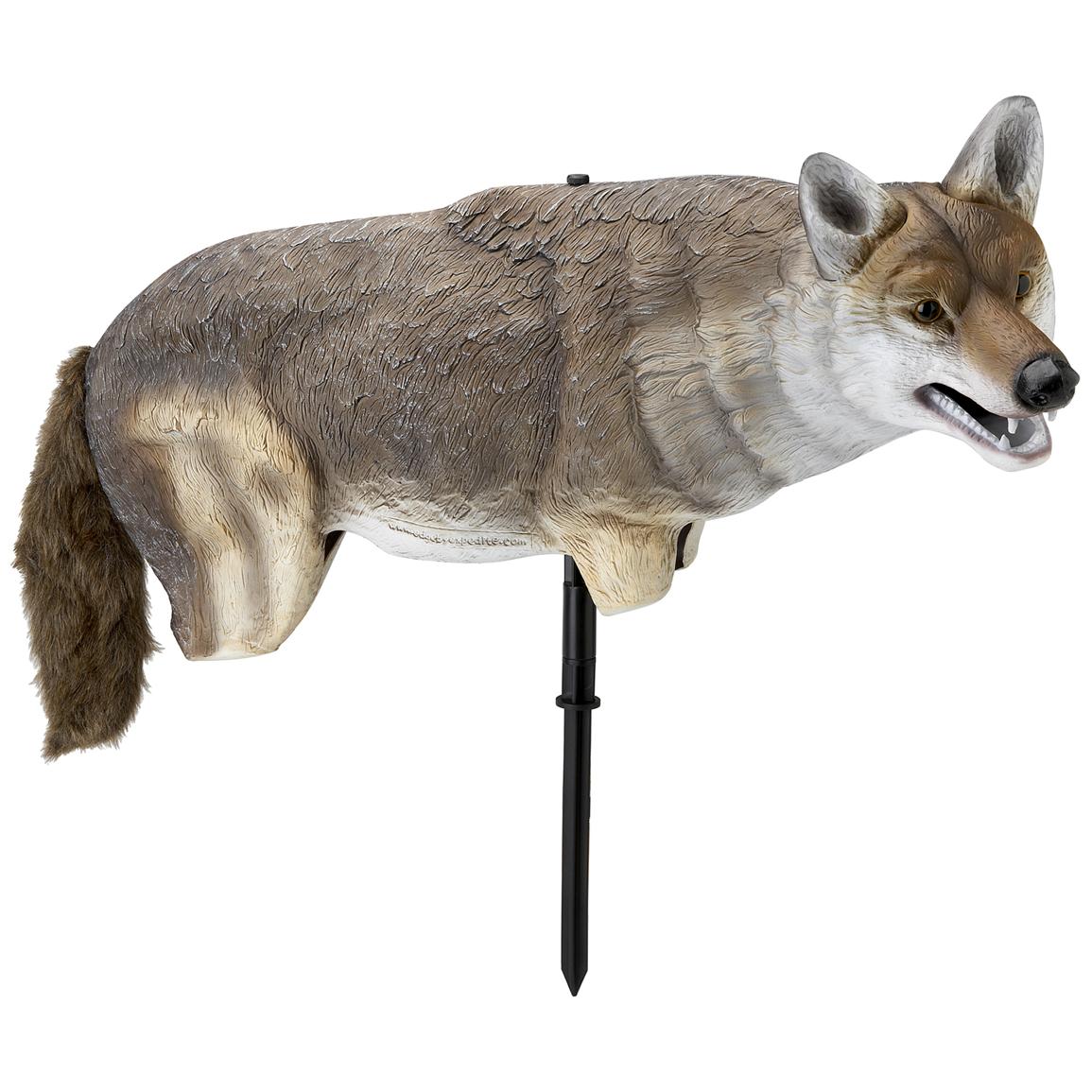 Coyote Decoy