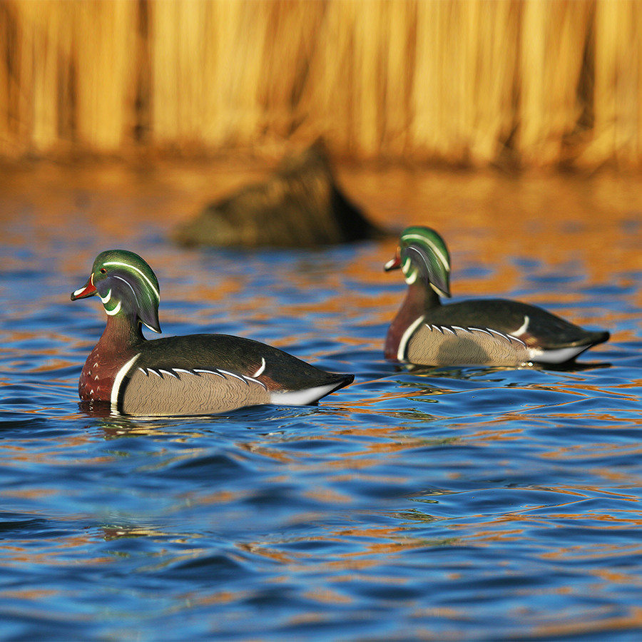 Duck decoys